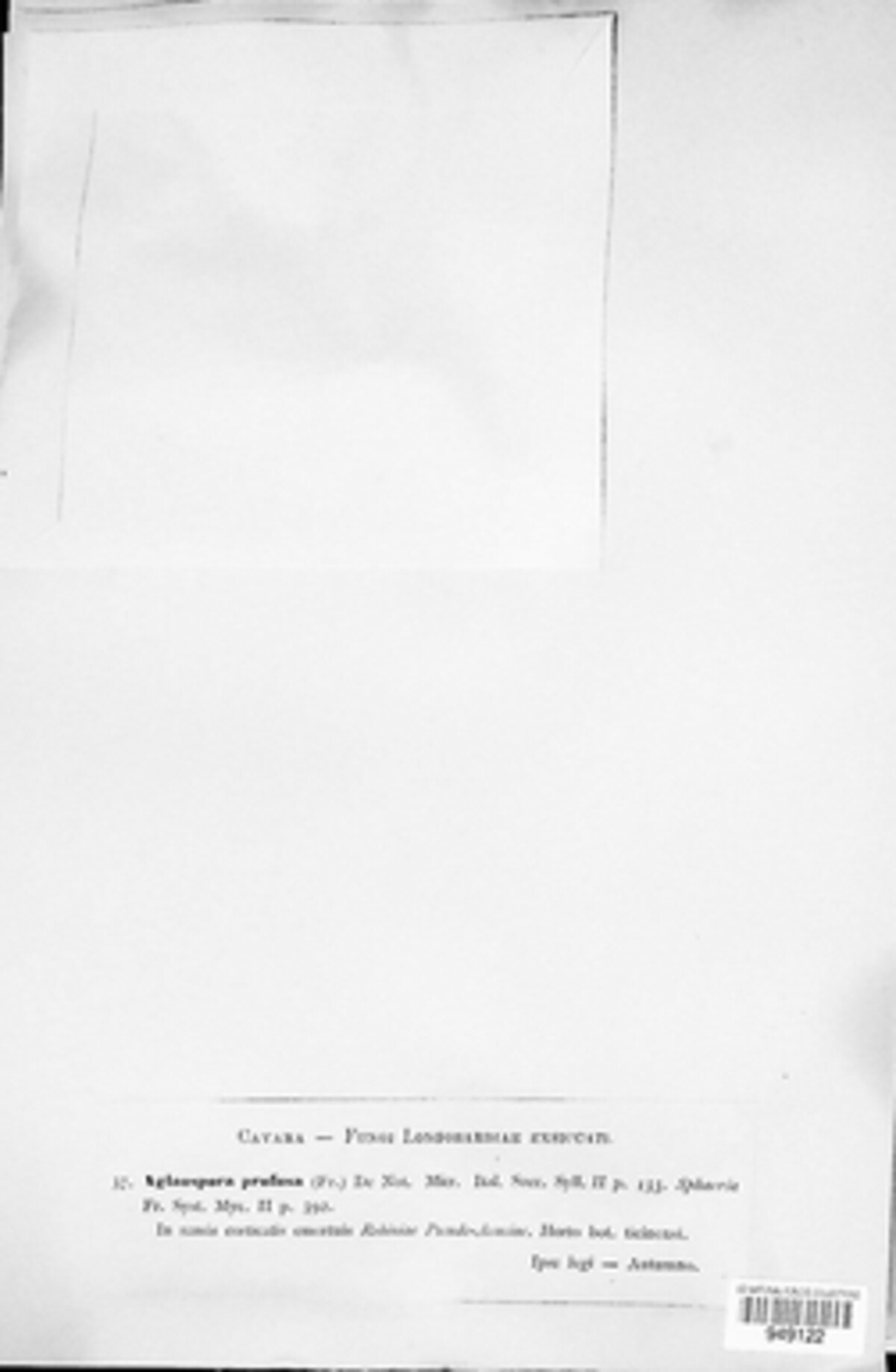 Aglaospora profusa image